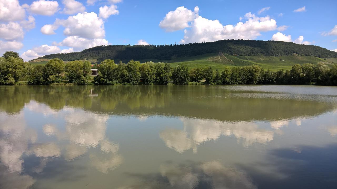 Das Kleine Hotel Iphofen, Fruehstueckszauber, No Waste, Nachhaltig, Nahe Aller Weingueter, Knauf Gips Kg Und Connekt, Kleines Secret Mit Garten & Terrassen, Tv Mirrorring, 55" Tv, Fine Dining, Hunde Willkommen Exterior foto